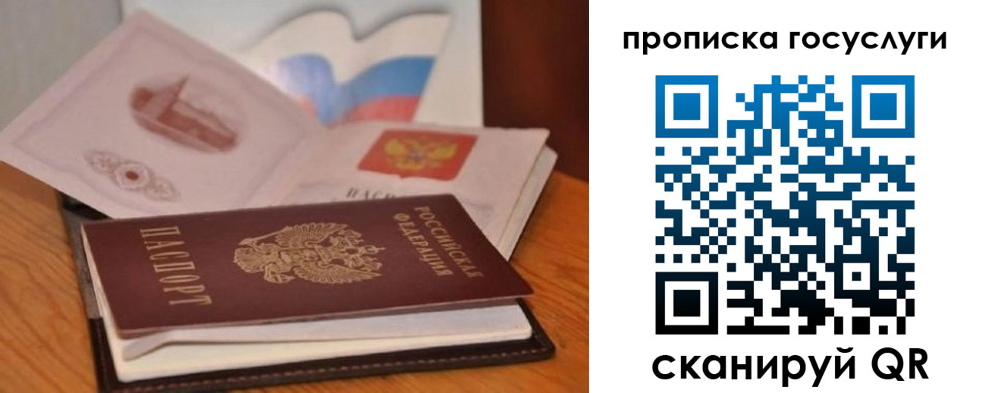 прописка в квартире в Тереке
